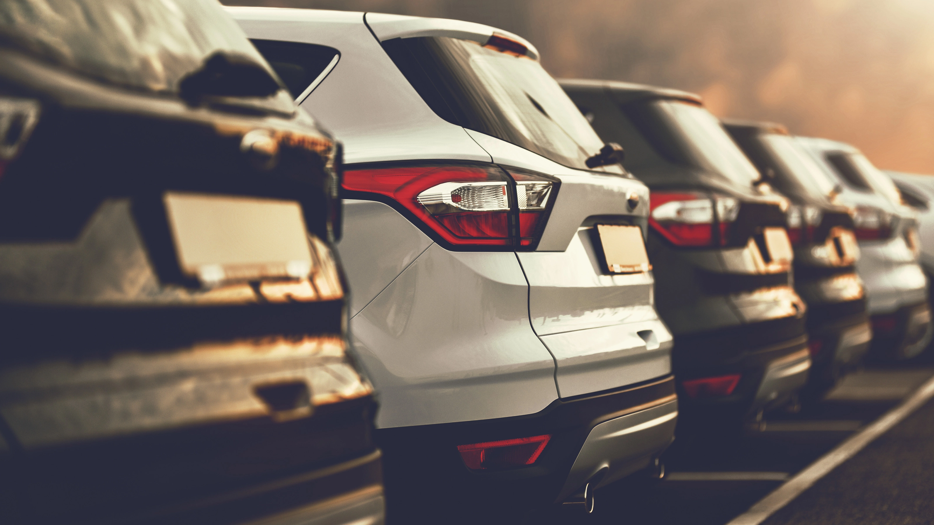 Several parked cars in a row viewed from behind on a sunny day.