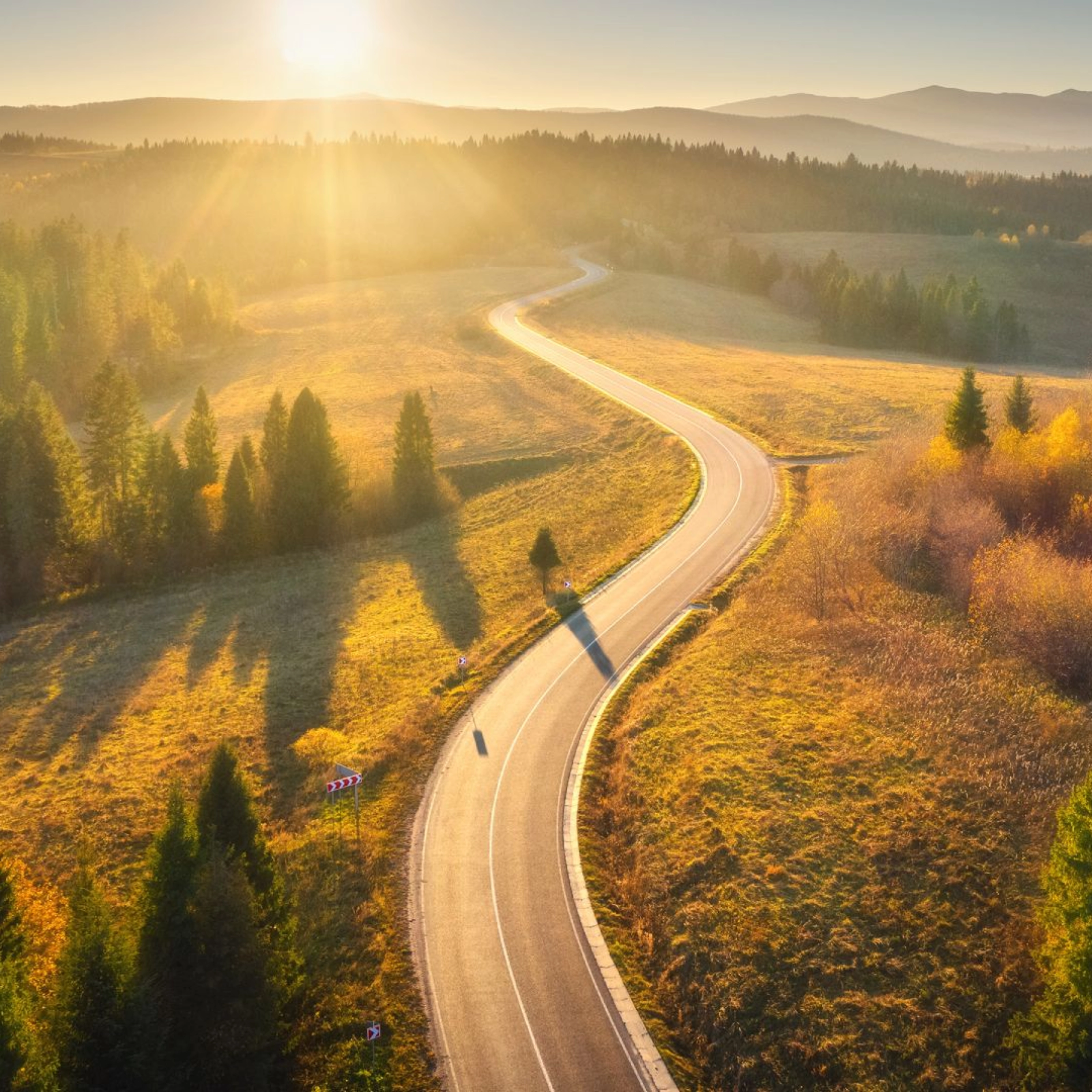 Kurvige Straße durch sonnige Landschaft mit Wäldern und Hügeln im Abendlicht.
