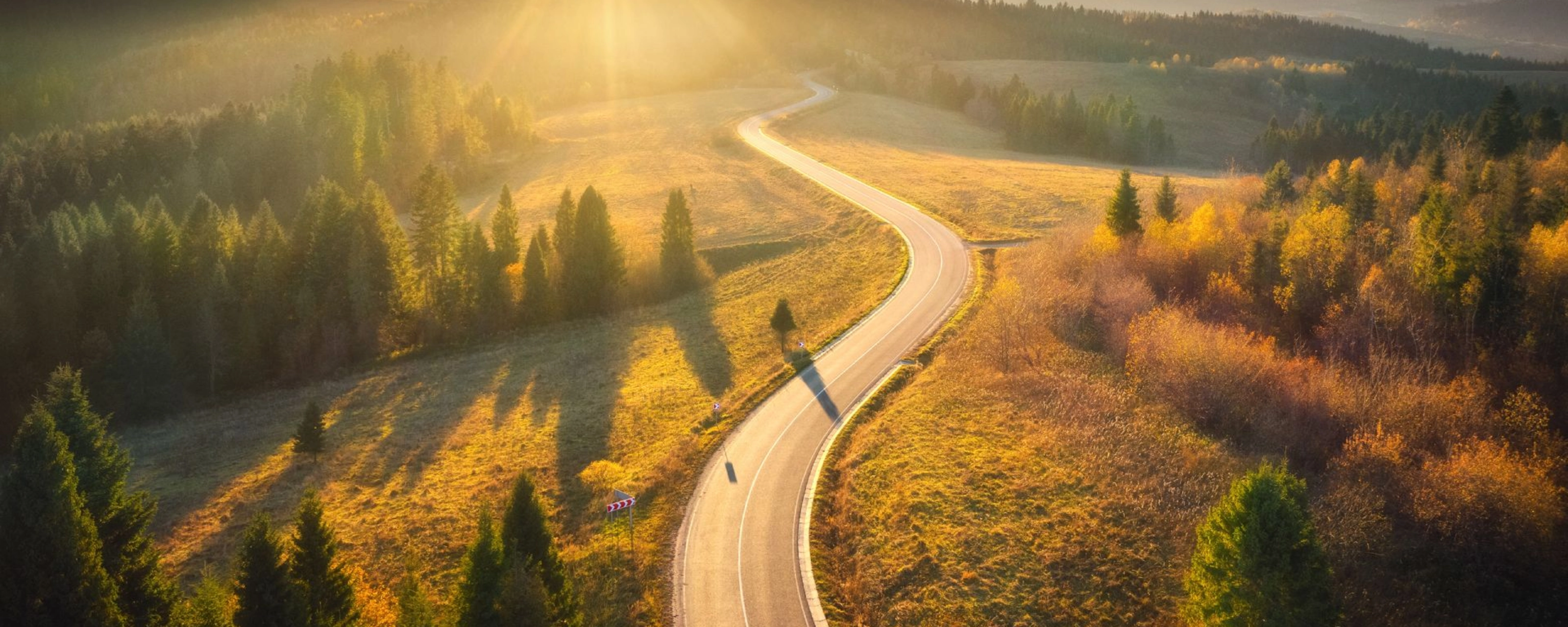 Kurvige Straße durch sonnige Landschaft mit Wäldern und Hügeln im Abendlicht.