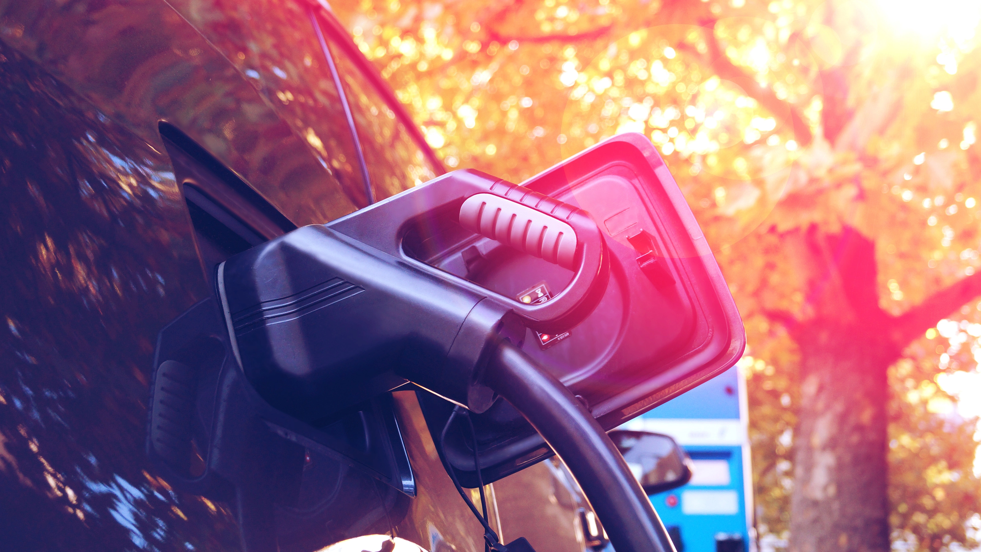 Elektroauto lädt an einer Station im herbstlichen Sonnenlicht mit Bäumen im Hintergrund.