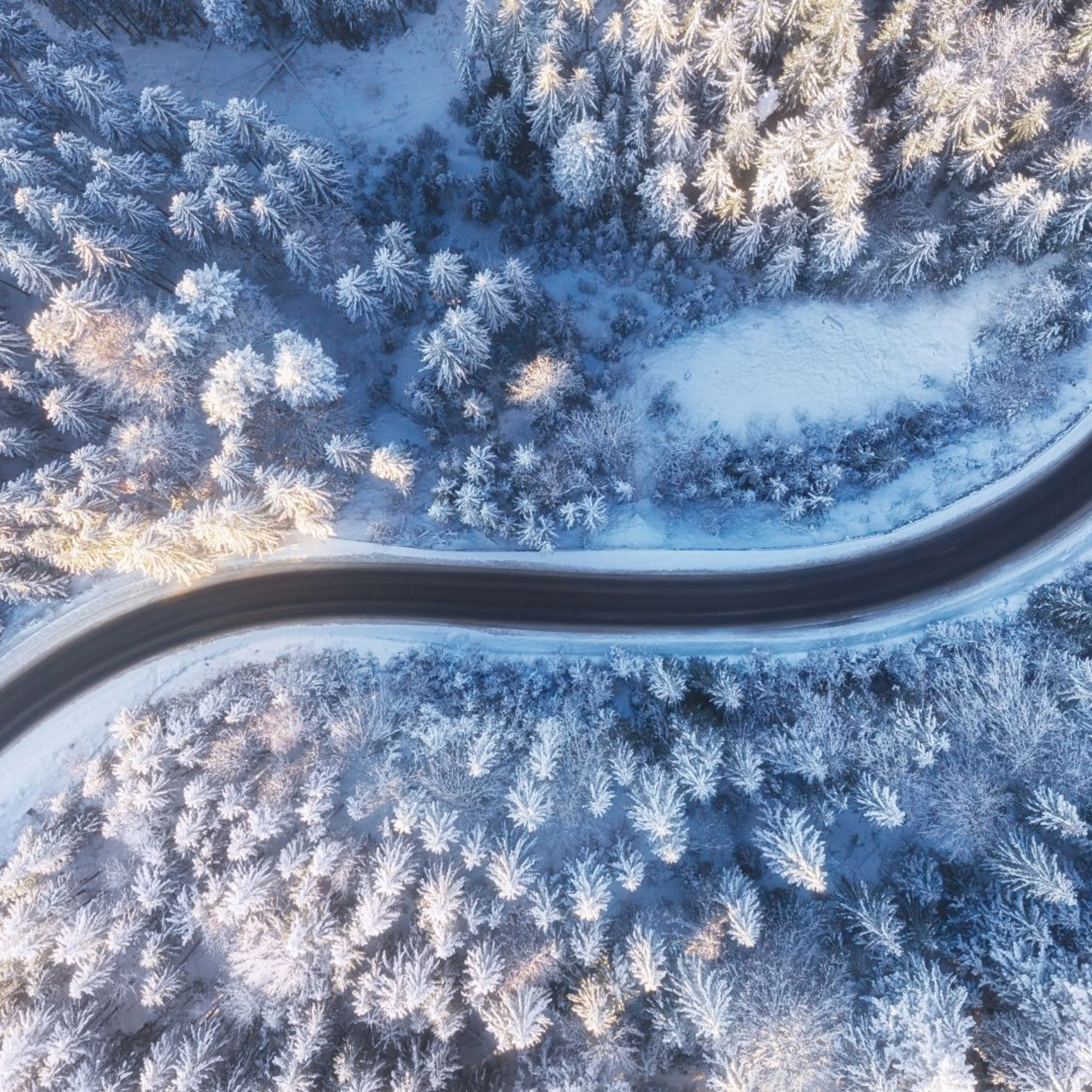 Kurvige Straße verläuft durch einen verschneiten Wald aus der Vogelperspektive.