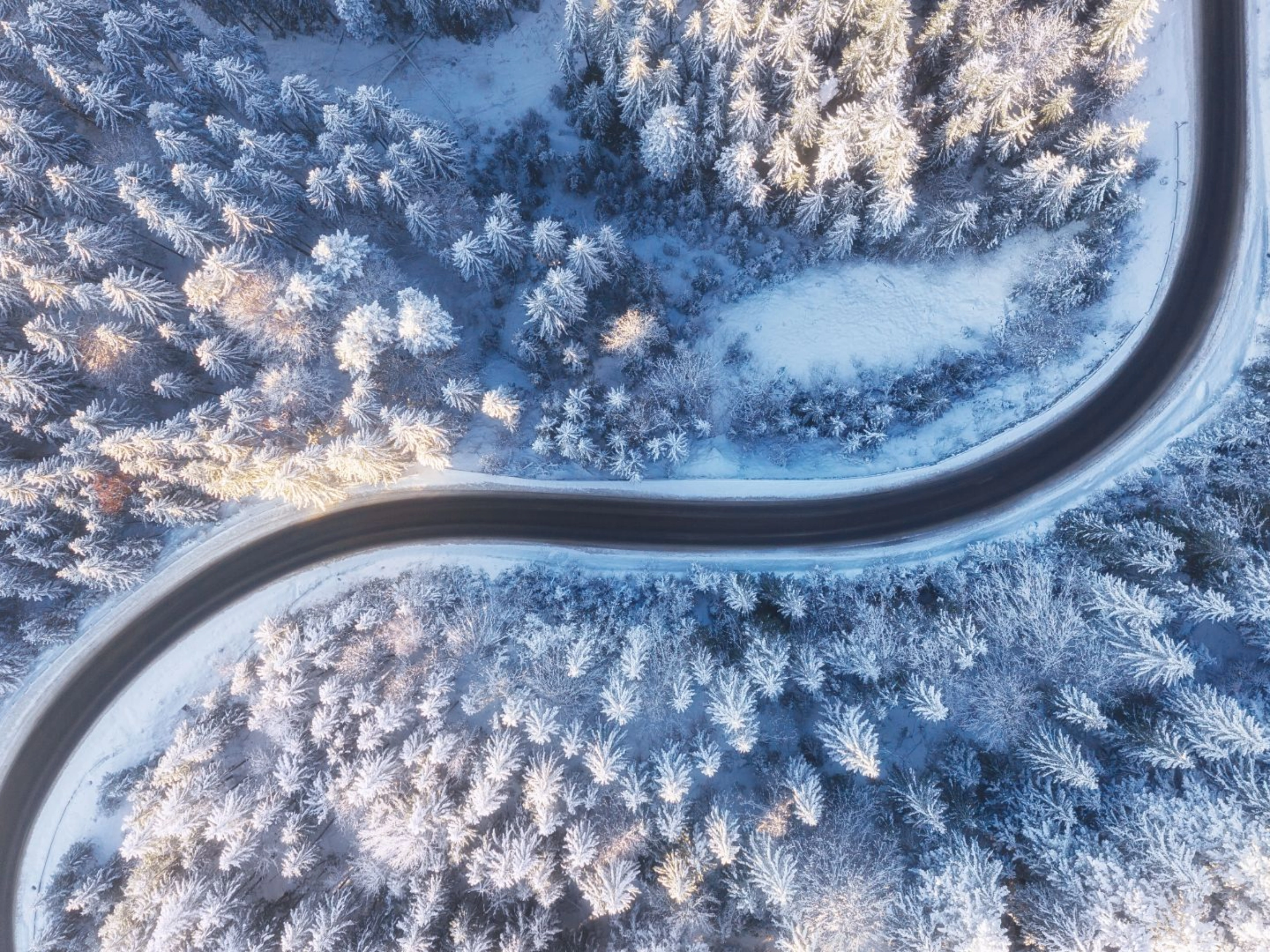 Kurvige Straße verläuft durch einen verschneiten Wald aus der Vogelperspektive.