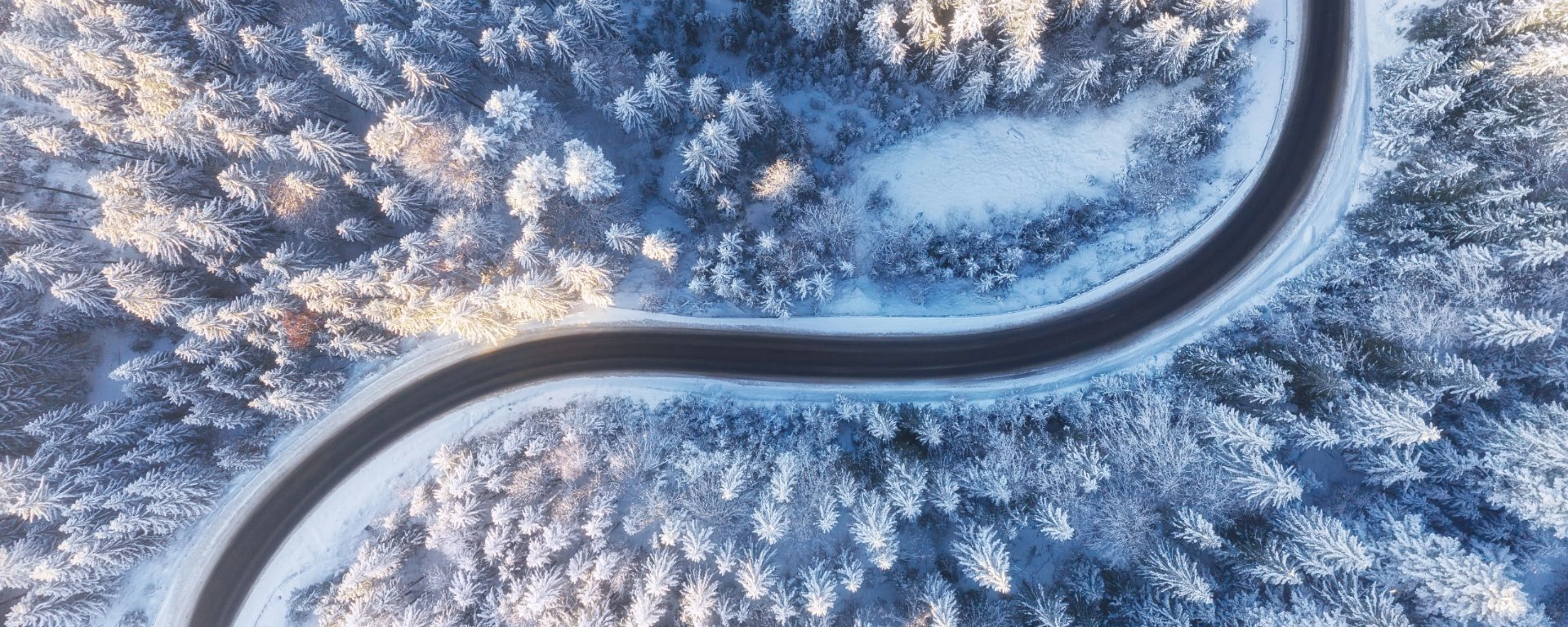Kurvige Straße verläuft durch einen verschneiten Wald aus der Vogelperspektive.