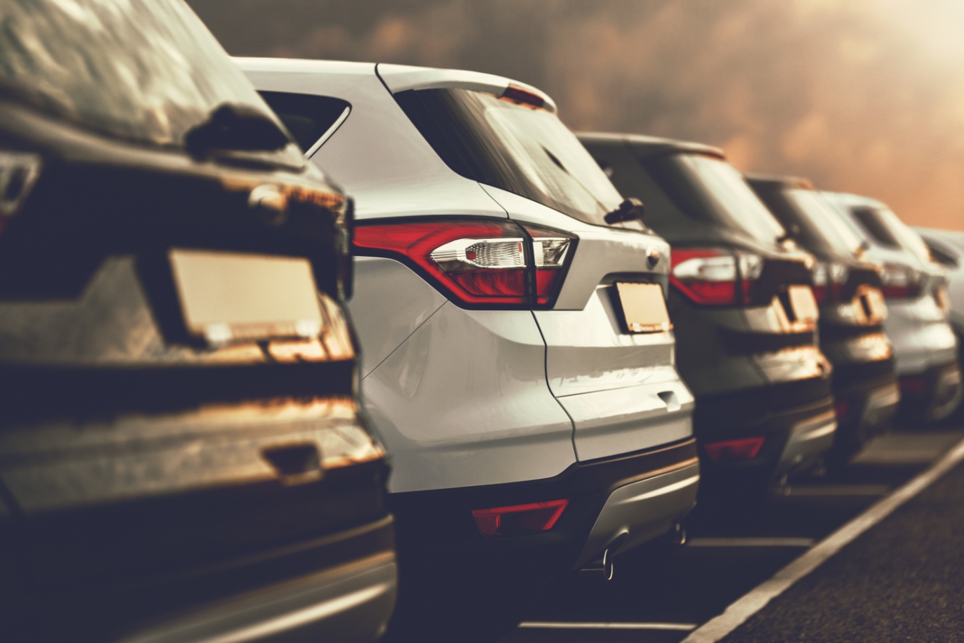 Several parked cars in a row viewed from the rear in warm evening light.